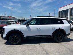 
 Kia Telluride full									