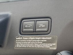 
 Kia Telluride full									