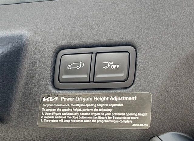 
 Kia Telluride full									
