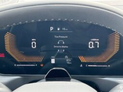 
 Kia Telluride full									
