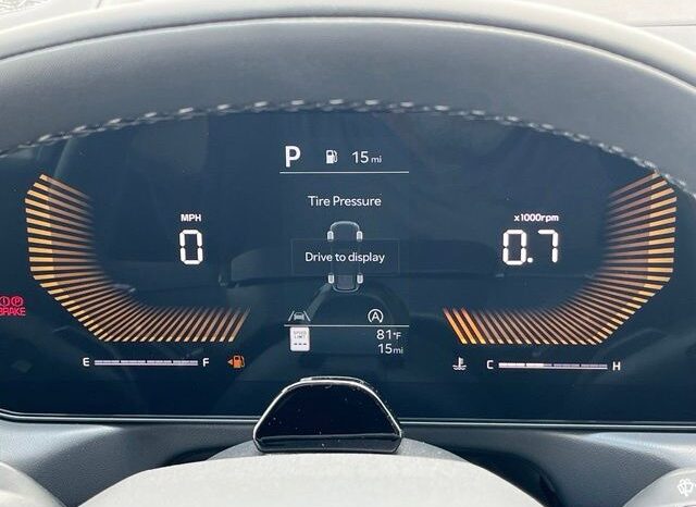 
 Kia Telluride full									