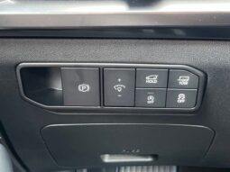 
 Kia Telluride full									