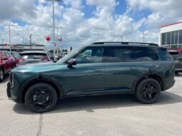 
 Kia Telluride full									