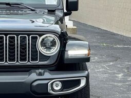 
 Jeep Wrangler full									