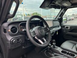 
 Jeep Wrangler full									