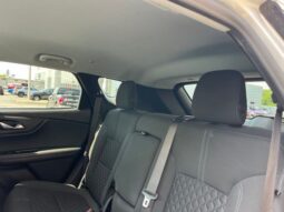 
 Chevrolet Blazer full									