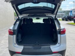 
 Chevrolet Blazer full									
