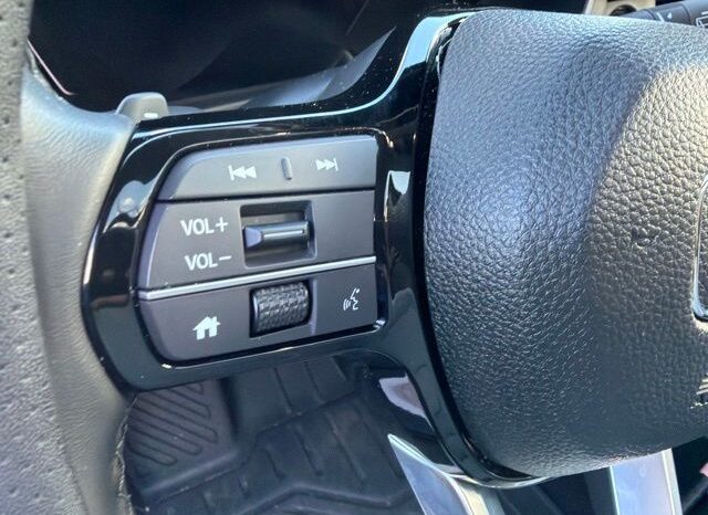 
 Honda Pilot full									