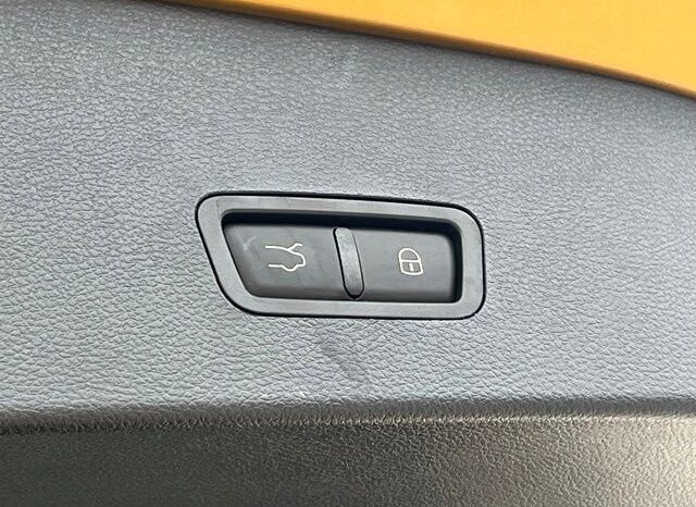 
 Dodge Hornet full									
