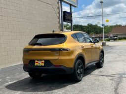 
 Dodge Hornet full									