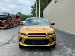 
 Dodge Hornet full									
