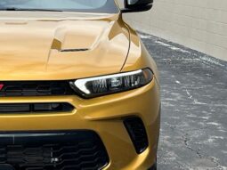 
 Dodge Hornet full									