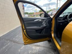 
 Dodge Hornet full									
