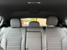 
 Dodge Hornet full									