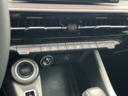 
 Dodge Hornet full									