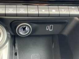 
 Dodge Hornet full									