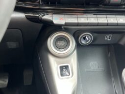 
 Dodge Hornet full									