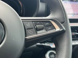 
 Dodge Hornet full									