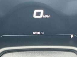 
 Dodge Hornet full									