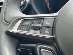 
 Dodge Hornet full									