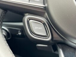 
 Dodge Hornet full									