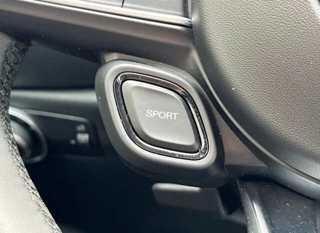 
 Dodge Hornet full									