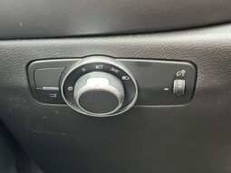 
 Dodge Hornet full									