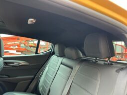 
 Dodge Hornet full									