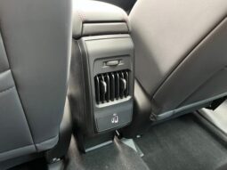 
 Dodge Hornet full									