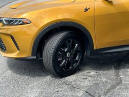 
 Dodge Hornet full									