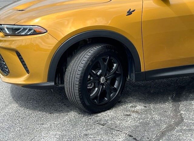 
 Dodge Hornet full									