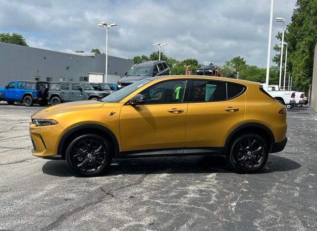 
 Dodge Hornet full									