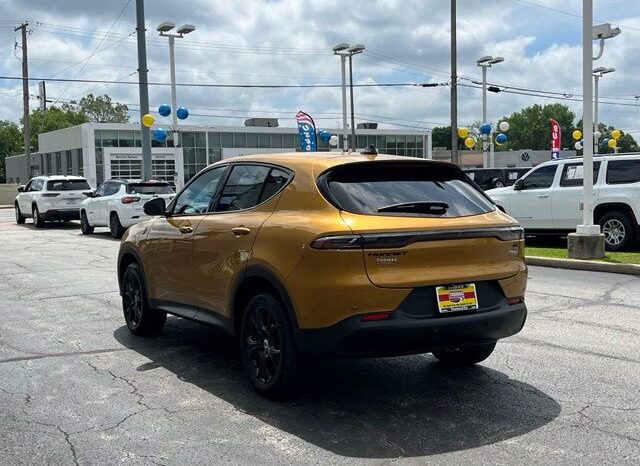 
 Dodge Hornet full									