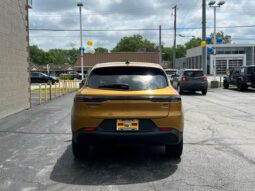 
 Dodge Hornet full									