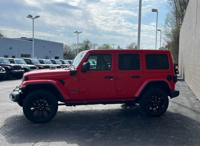 
 Jeep Wrangler full									