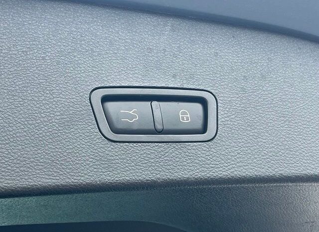 
 Dodge Hornet full									