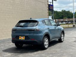 
 Dodge Hornet full									