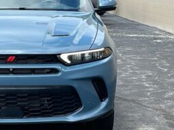 
 Dodge Hornet full									