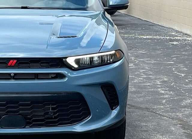 
 Dodge Hornet full									