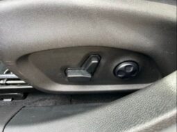 
 Dodge Hornet full									