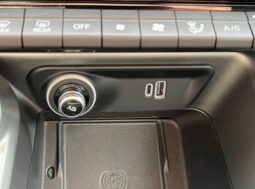
 Dodge Hornet full									
