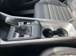 
 Dodge Hornet full									