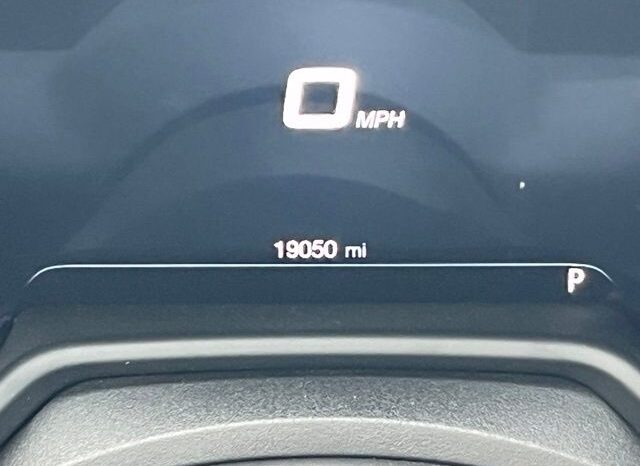 
 Dodge Hornet full									
