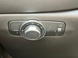 
 Dodge Hornet full									