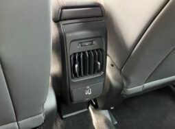 
 Dodge Hornet full									