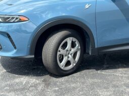 
 Dodge Hornet full									