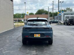 
 Dodge Hornet full									