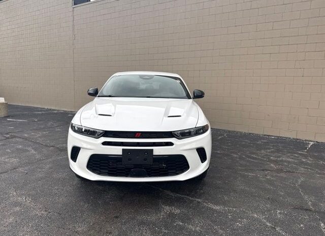 
 Dodge Hornet full									