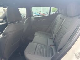 
 Dodge Hornet full									