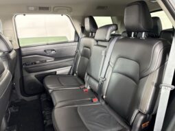 
 Nissan Pathfinder full									